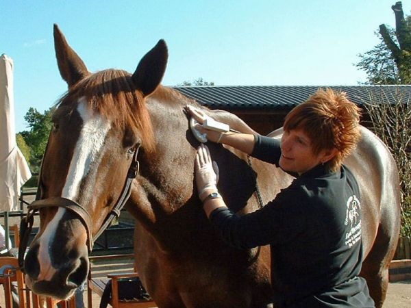 DEEP OSCILLATION® Personal Sports in Equine
