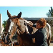 DEEP OSCILLATION® Personal Sports in Equine