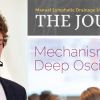 The British association of manual lymphatic drainage practitioners (MLDuk) in its latest issue reports extensively on deep oscillation