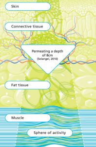The Effect of DEEP OSCILLATION® On The Lymphatic System